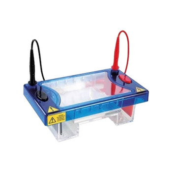 Cuba Para Eletroforese Horizontal 10 x 10 cm - Para separação de proteínas e ácidos nucléicos e estudos analíticos